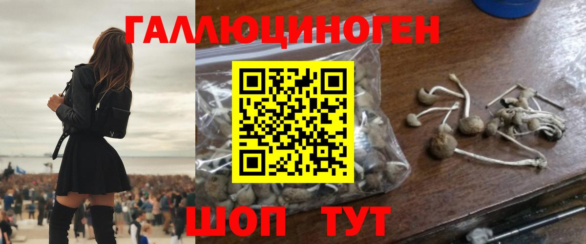 Псилоцибиновые грибы прущие грибы  Вход с VPN  хочу   Новотроицк 